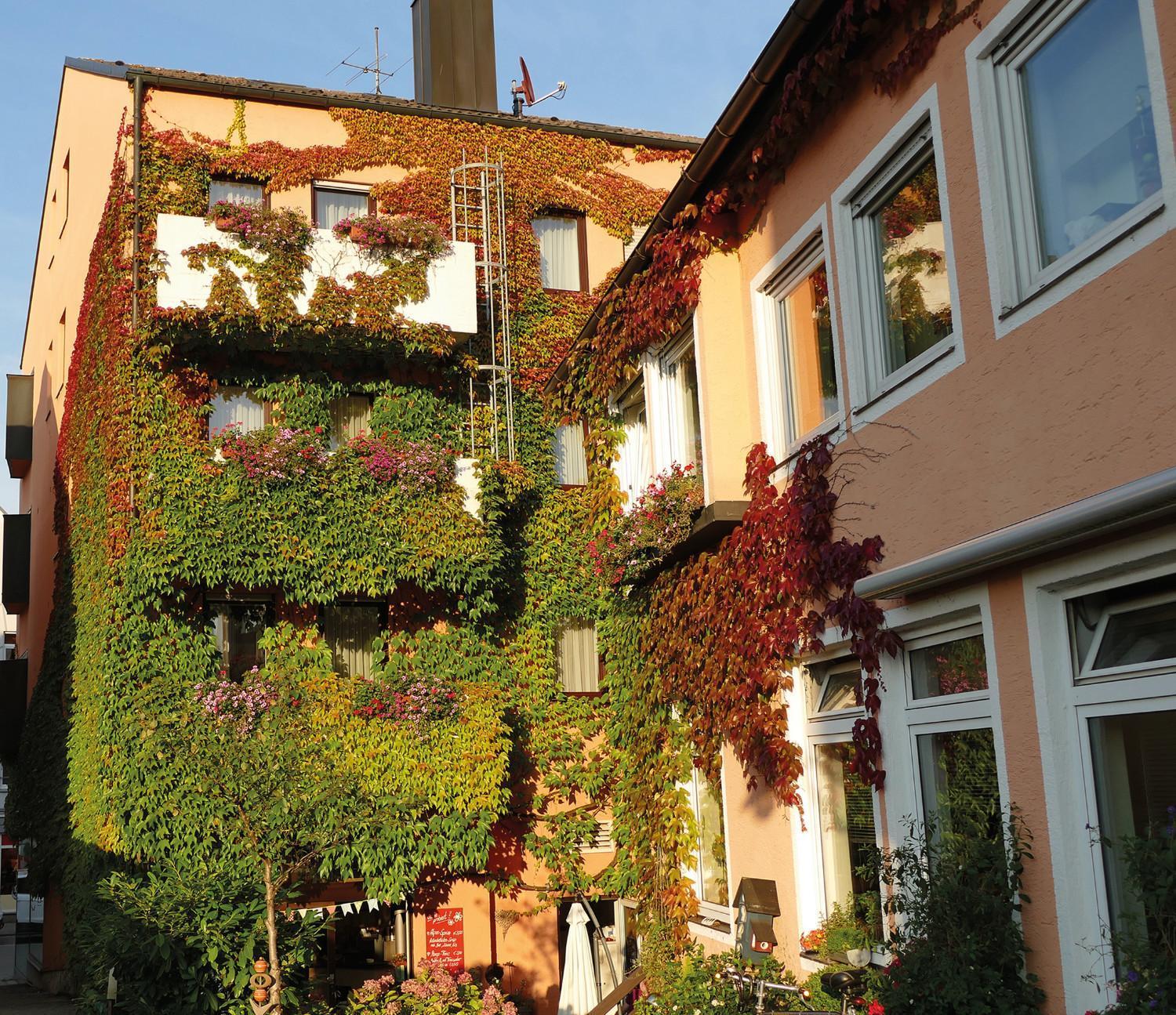 Hasi'S Hotel Grafing Exteriör bild